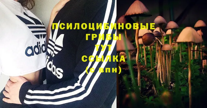 Галлюциногенные грибы Magic Shrooms  Неман 